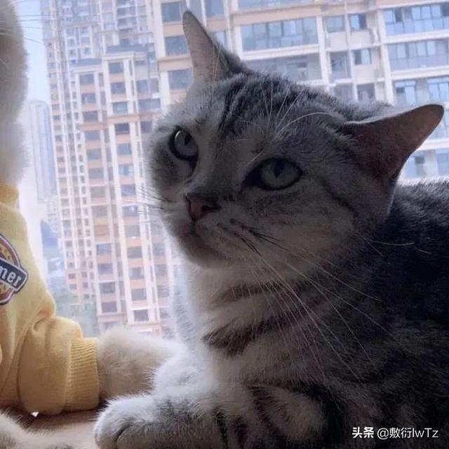 情侣头像超好看一对新款，超好看的情侣头像一对 “晴天也会突然下暴雨，温柔的人也会不开心”（情侣微信头像 ， 情人节快乐）