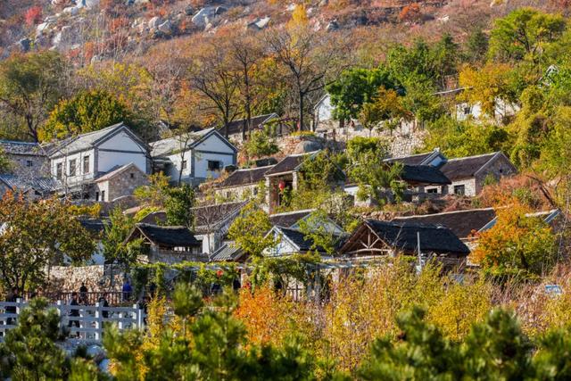 天蒙山简单介绍，天蒙山多高（天蒙山中的冬日美景）