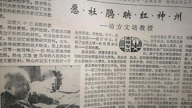 用来比喻爱情的动物，用动物比喻爱情的句子（也该成为四川人的恋爱标配）