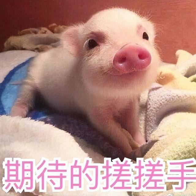 幼儿园绘本阅读，幼儿园绘本阅读目标（让宝宝爱上幼儿园<建议收藏>）