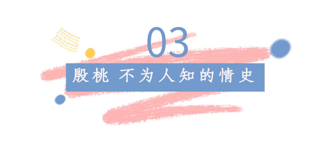 殷桃个人资料简介（“人间尤物”殷桃，情途坎坷） 第35张
