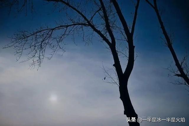 冬日情怀随笔，足以慰心尘<三章>