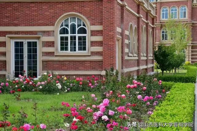 山西医科大学晋祠学院，2021年山西医科大学晋祠学院录取通知书查询入口_什么时候收到及发放时间（那就把爱留在晋院吧）