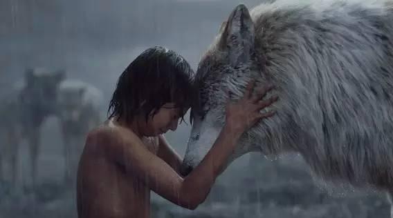 适合三岁宝宝看的动画片，3周岁宝宝适合看哪些动画片（3-14岁孩子看的优质电影及动画）