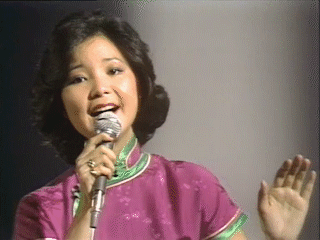 邓丽君简介个人简历，邓丽君简介（是华语乐坛献给世界“最珍贵的礼物”）