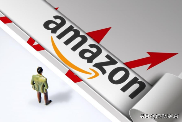 小趴菜英文怎么说，小趴菜是什么意思（亚马逊收到律师函资金被冻结）