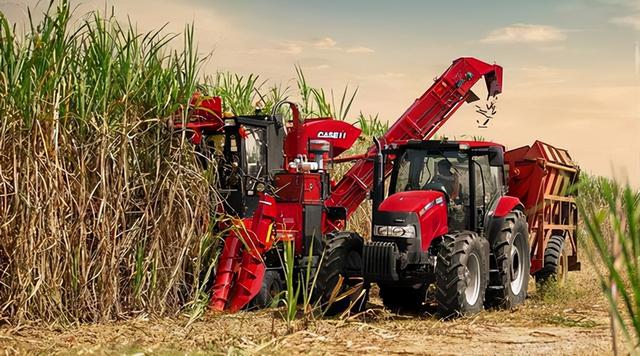 碳化糖和白砂糖有什么区别，碳化糖与白糖的区别（白糖加入工业酸）