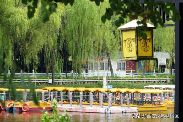 唯美图片清新简约 请允许我成为你的夏季，唯美图片清新简约头像（是时候给你点“颜色”看看了……）