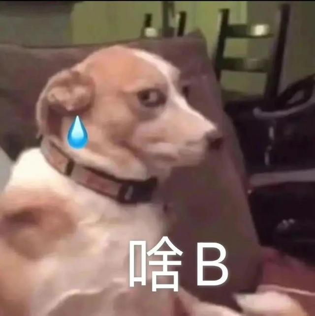 骂人音频30分钟不重复，聊一聊孩子学说话的问题（礼貌又阴阳怪气的骂人文案来喽）