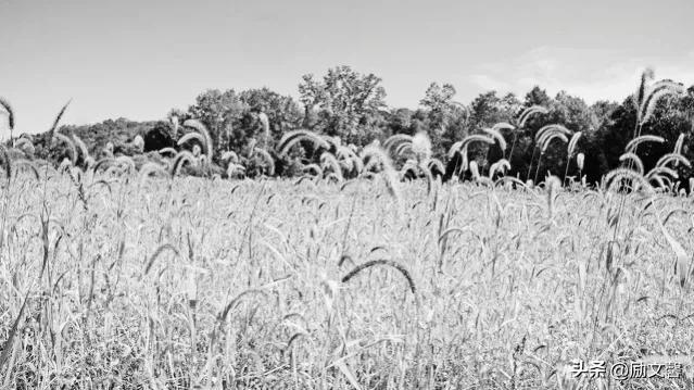 什么是物流，什么是物流营销（假期琐碎记<六>：初识物流）