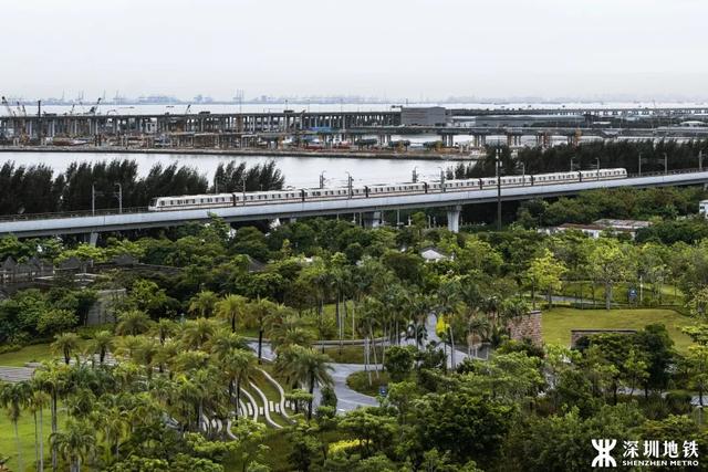深圳怎么去香港，深圳到香港怎么走（深圳地铁和香港重铁今起扫码乘车互联互认）