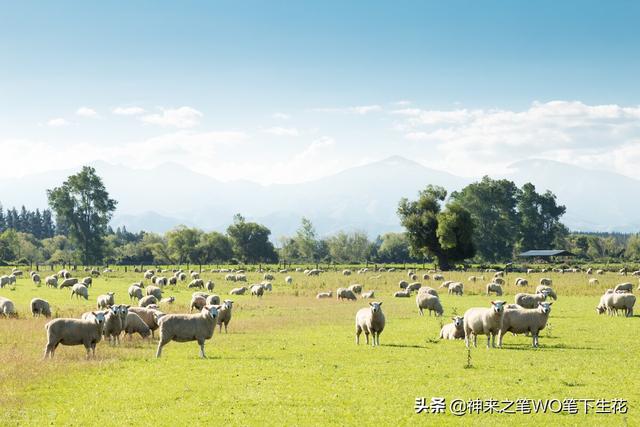 天下君王莫非王土，莫非王土；率土之滨
