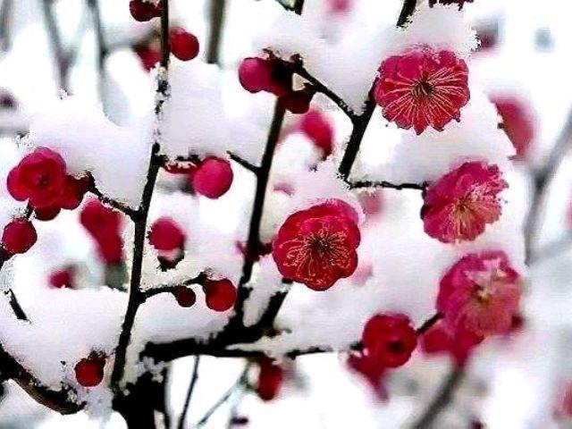 万事胜意搭配下一句是，万事胜意搭配下一句是什么（2023：愿你平安喜乐）