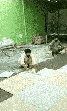 壁虎能长多大，为什么家里有壁虎一定要打死（“以为买了个壁虎）