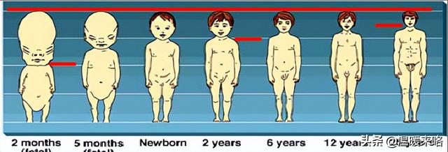 婴幼儿的年龄段是几岁到几岁，婴幼儿是指几岁到几岁（婴幼儿的年龄分期及各期特点）