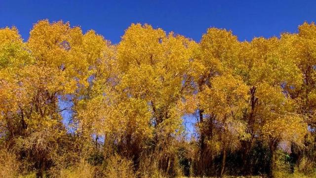 格尔木旅游必去景点推荐，青海旅游攻略必去景点大全（格尔木出发自驾2日游好去处攻略推荐）