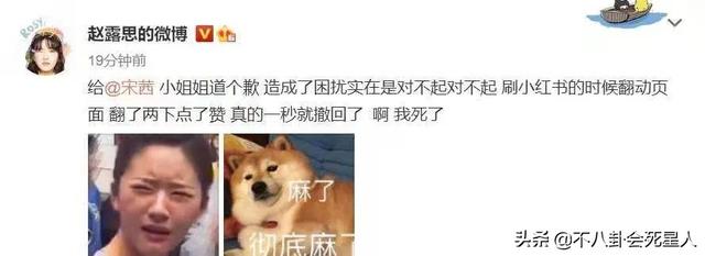 关悦与佟大为婚纱照，关悦图片个人资料（妇女节前的7个瓜）