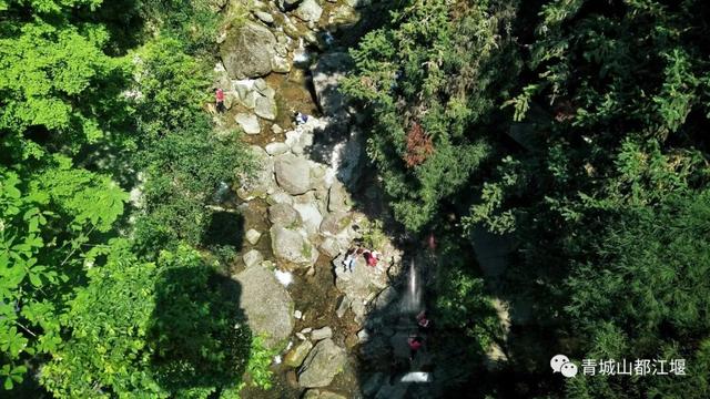 都江堰熊猫乐园，都江堰大熊猫乐园（都江堰10大绝美打卡地来袭）