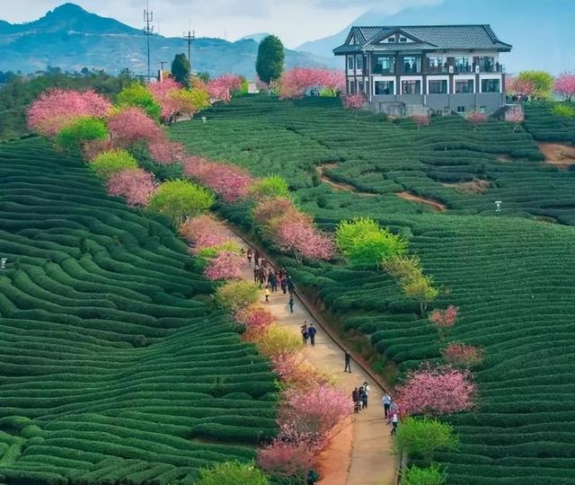 龙岩有哪些特色小吃，龙岩有什么小吃（第六道就是当地的“重口味”美食）