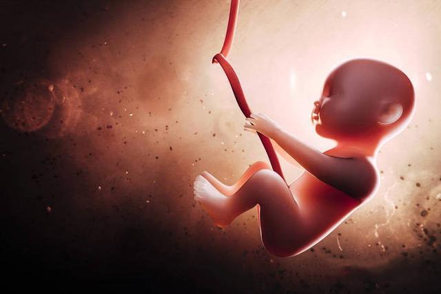 怀孕六个月胎儿图，六个月的胎儿图（孕期胎儿在黑漆漆的子宫里会无聊吗）