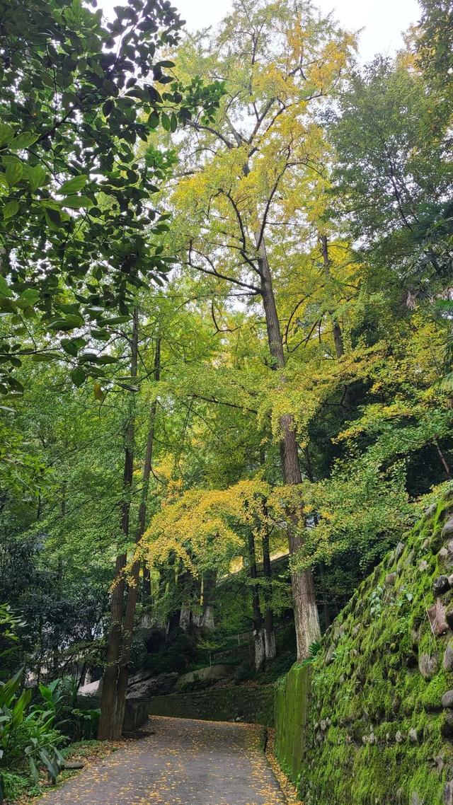 附近景区哪里好玩，宁波附近哪里好玩（大都1天打来回）