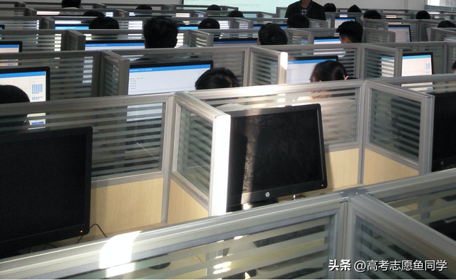 公共管理类专业有哪些，公共管理类包含的专业有哪些（十大最热门的“专科专业”）