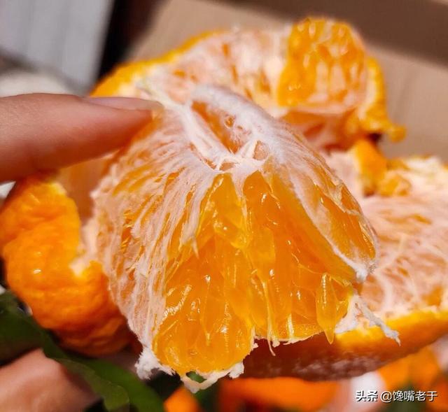 怎么挑选嘉宝果，怎么挑选嘉宝果选树叉多的好吗（惊蛰过后：无论有钱没钱）