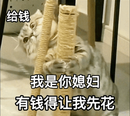 沙雕表情包/斗图必备，斗图表情包 沙雕（45个沙雕表情包）