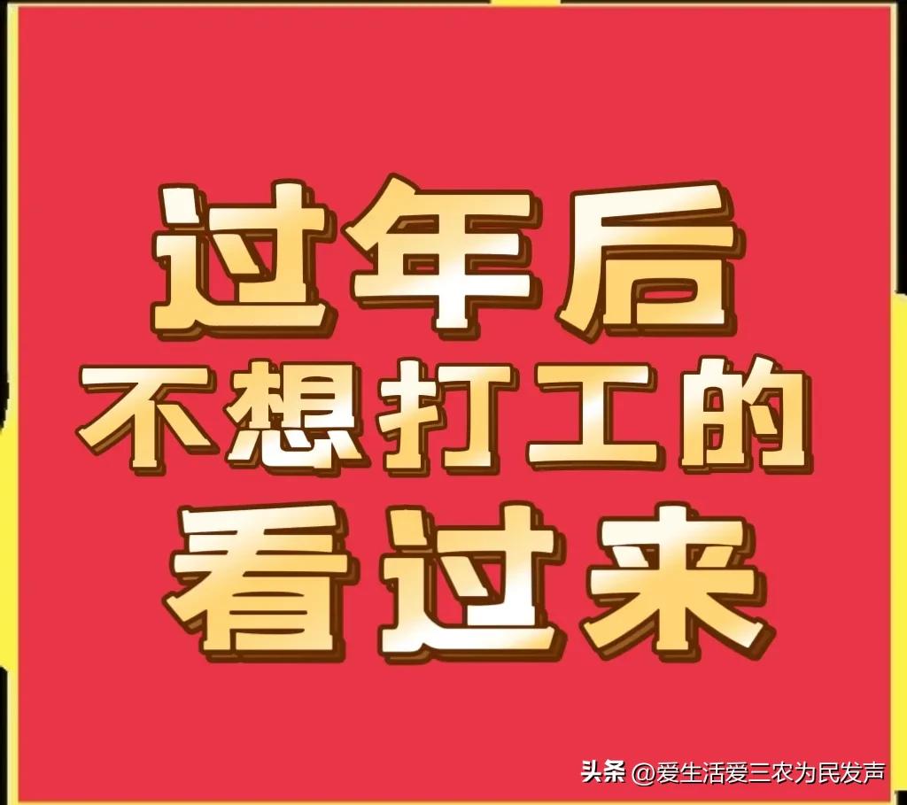 小生意项目大全1到2万，新手创业开什么店最好