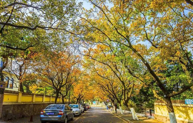 青岛景点介绍，青岛旅游景点介绍大全（10个推荐景点及周边玩法攻略）