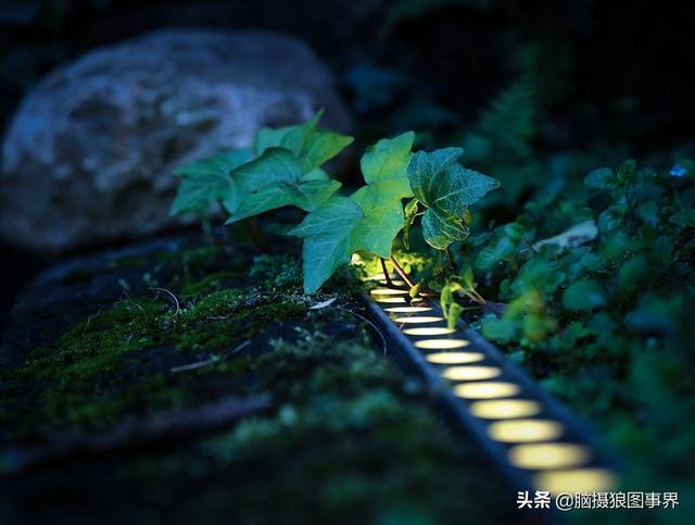 拍照片基本技巧，拍照片基本技巧和方法（可以提升照片的美感）