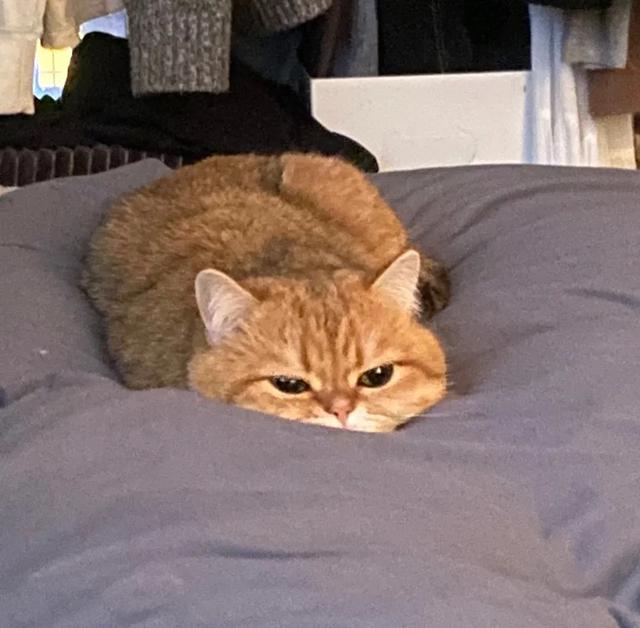 也许放弃才能靠近你，也许放弃 才能靠近你，微信头像（人生才几年不能因为找不到对象而放弃自己）