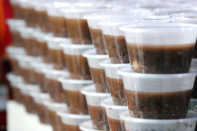 智利火玫瑰如何饲养，智利火玫瑰和红玫瑰哪个适合新手养（也要有好运气<144>）