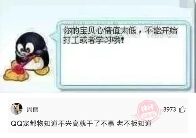 dcb什么意思，网络语dcb是什么意思（这裙子设计灵感来自于哪）