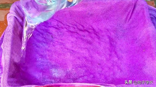 家庭绿豆种植简单方法技术，家庭绿豆种植简单方法技术说明（教你在家自发绿豆芽）