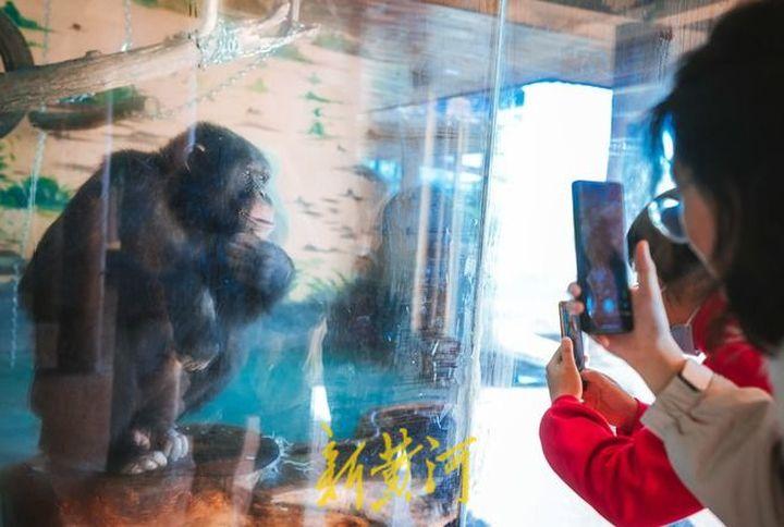 山东黑猩猩一天一棵大葱三四瓣蒜，预防感冒的作用
