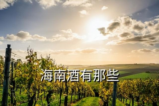 十大排名壮阳酒，最厉害的壮阳酒（海南省有几个白酒品牌,海南名酒排名前十名）