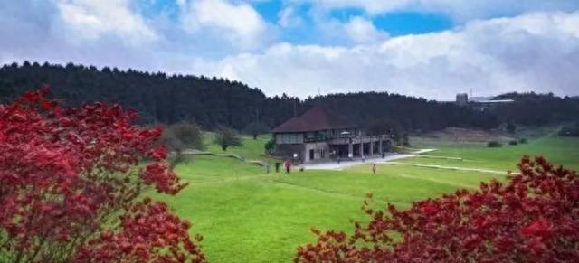 仙女山的游——仙女山国家森林公园