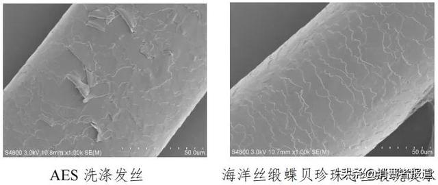 消费者报道权威检测，dpph全称