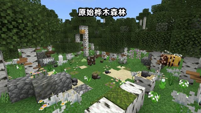 三个人的群名叫什么好，三人闺蜜群名（mc你可能没听过的8个罕见群系）