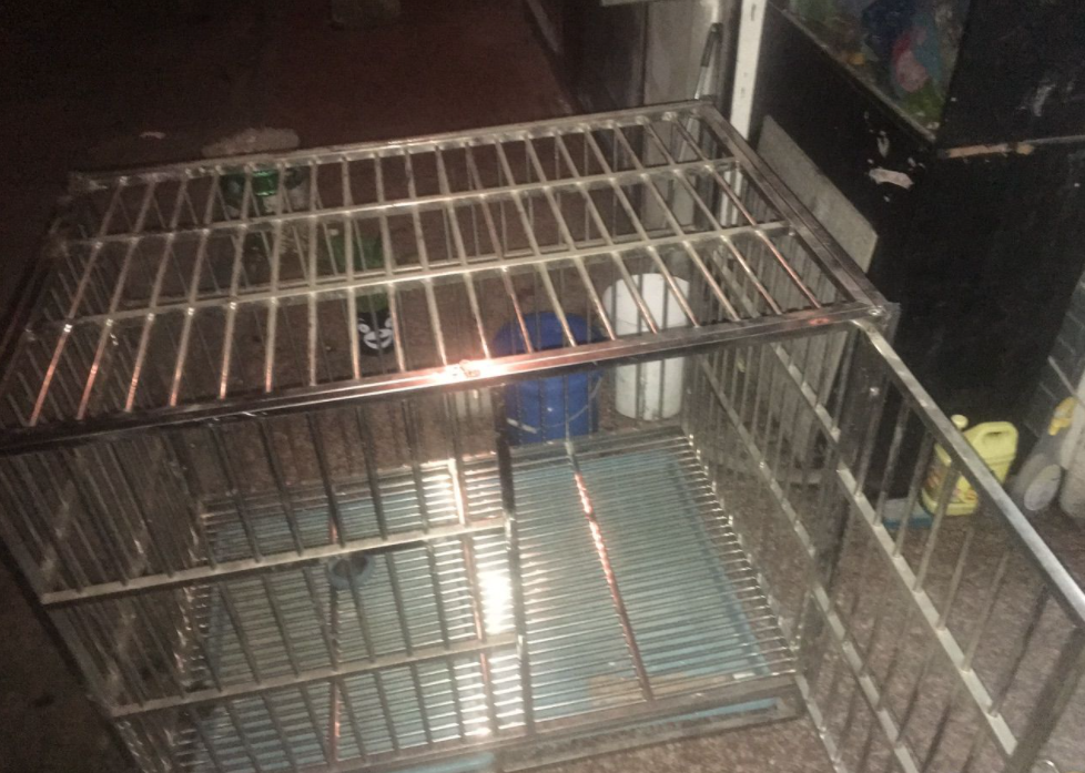 拐卖儿童案例（那些被人贩子拐卖的孩子）