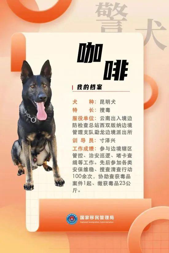 汪汪队立大功百科,汪汪队立大功人物介绍(国家首批功勋犬简历曝光) 汪汪队立大功百科,汪汪队立大功人物介绍(国家首批功勋犬简历曝光)