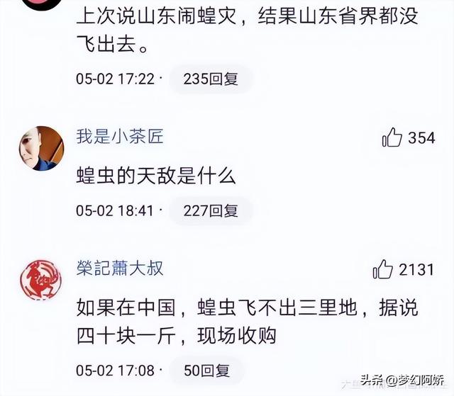 蚂蚱吃什么，纨扇团圆璧月流——蝗虫的危害（蚂蚱吃什么东西能养活）