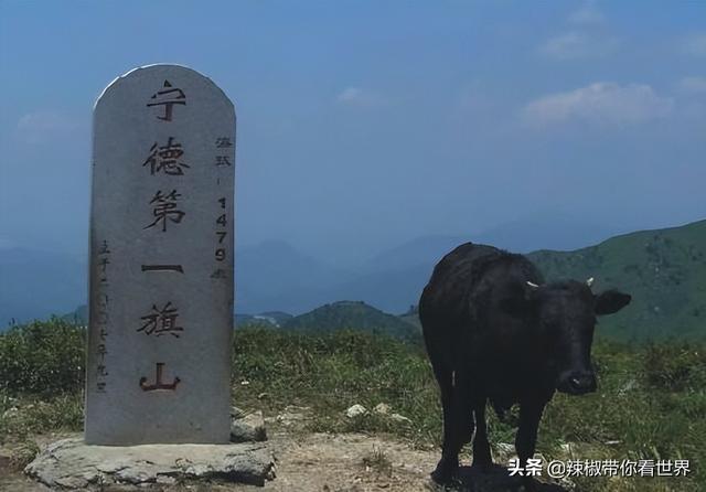 百里画廊是福建的哪一个城市，百里画廊之美誉位于哪里（“百里画廊”“闽东”宁德——是美味国鱼“大黄鱼”之乡）