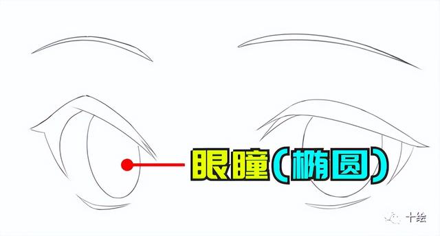 眼睛怎么画简单又漂亮，简单又美丽的眼睛怎么画（新手怎么画眼睛？眼睛绘画教程）