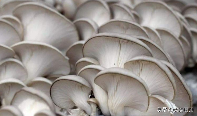 平菇买多了怎么保存，买回来的新鲜平菇怎么保存（菇农教你4个妙招）