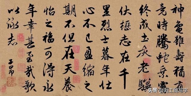 龟虽寿原文及翻译，龟虽寿原文及翻译拼音（赵孟頫《龟虽寿》全文56字适合反复临摹的一幅作品）