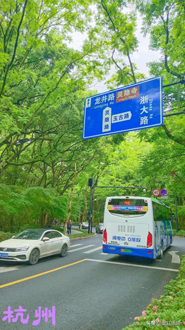 杭州美景之青芝坞和西湖，还有植物园的花草与树木