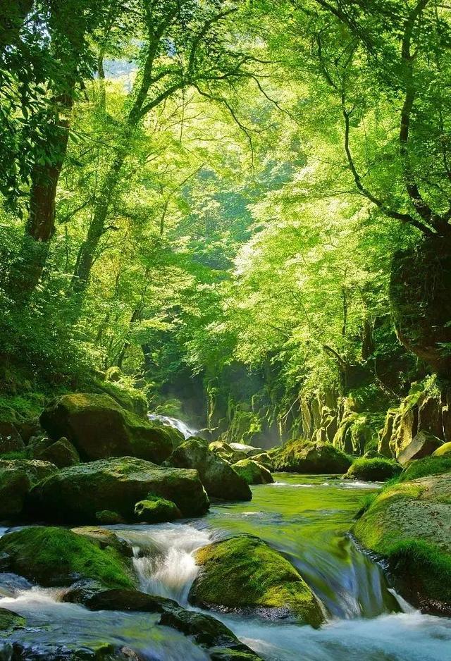 比喻句大山像什么，大山像什么的比喻句怎么写三年级（小测一下，你是什么水）