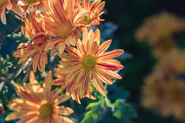 让男人听了更爱你的话，如何让男人听了更爱你的话（才会常常跟你说这三句话）